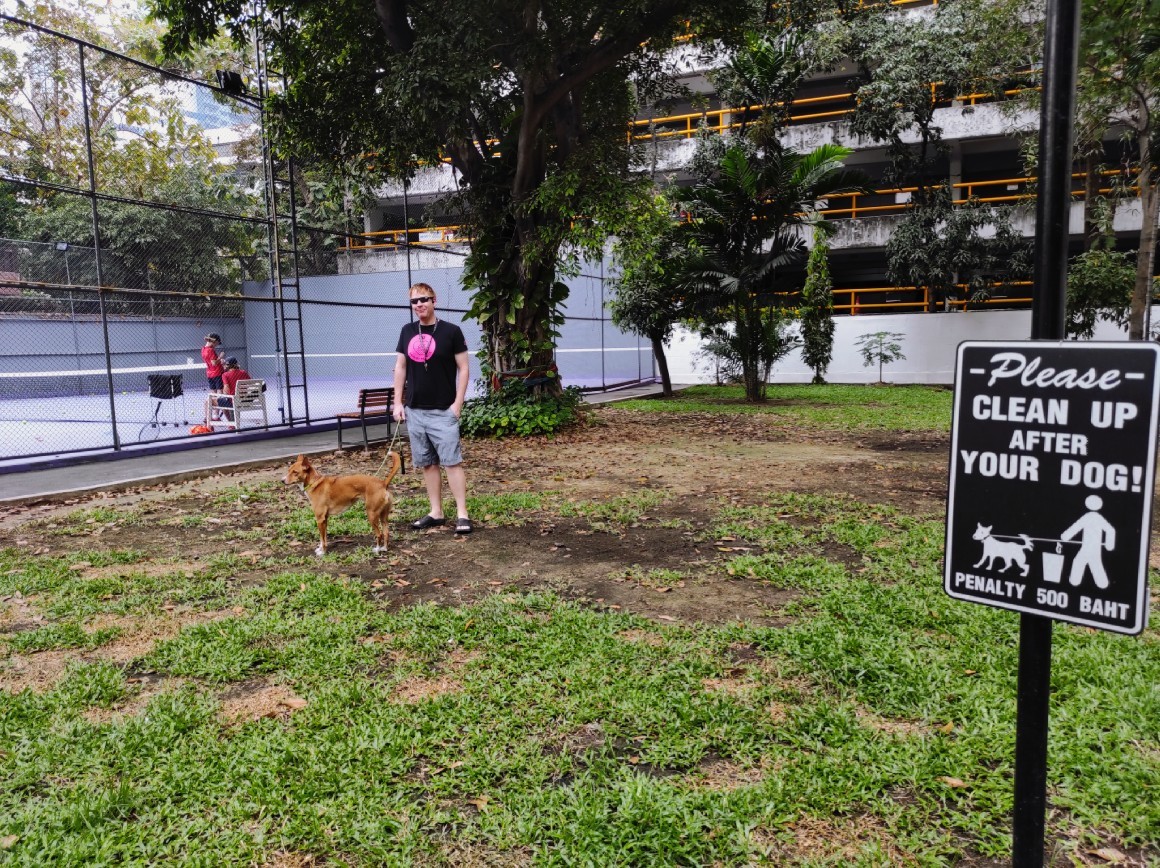 Villa Bajaj: Pet friendly garden beside tennis court