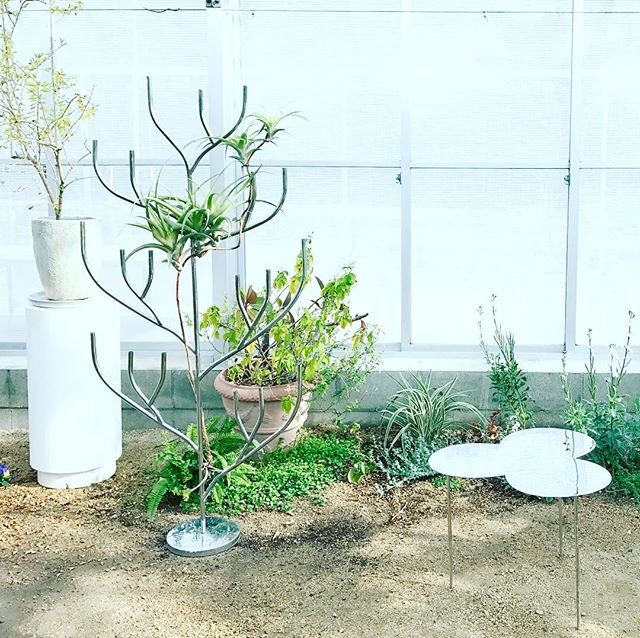 犬島くらしの植物園