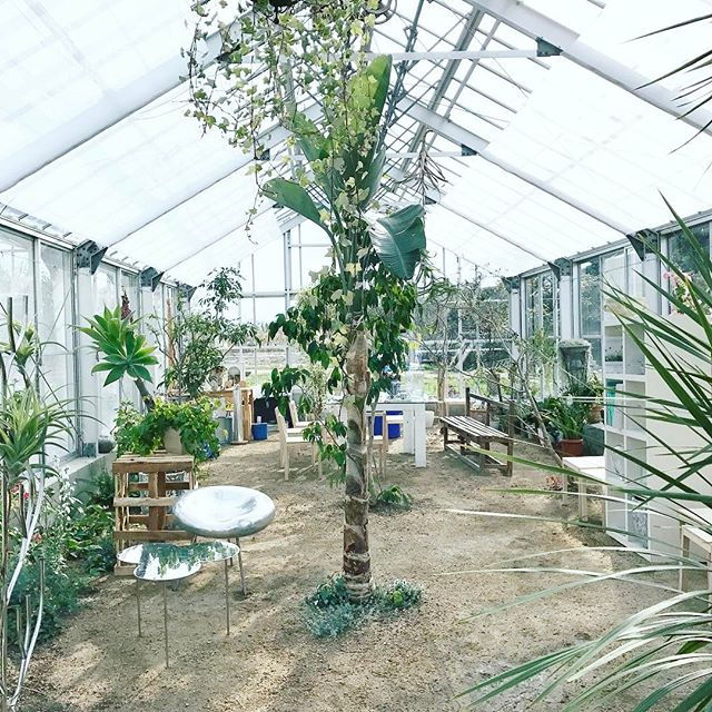 犬島くらしの植物園