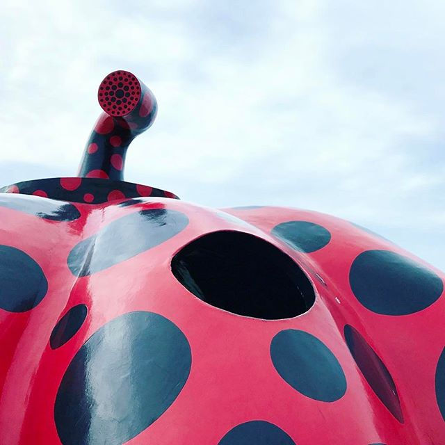 赤かぼちゃ(紅色南瓜)