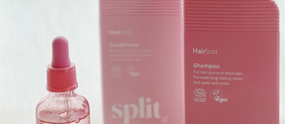  [東京建築女子 x Hairlust]