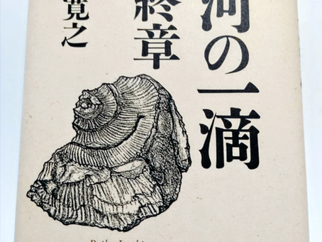 「大河の一滴 最終章」