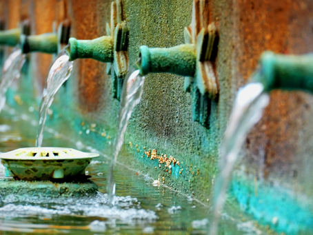 Brackish Water Sources, Uses, and Treatment Options