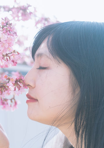 2026/3/1 - 桜弥🌸さん