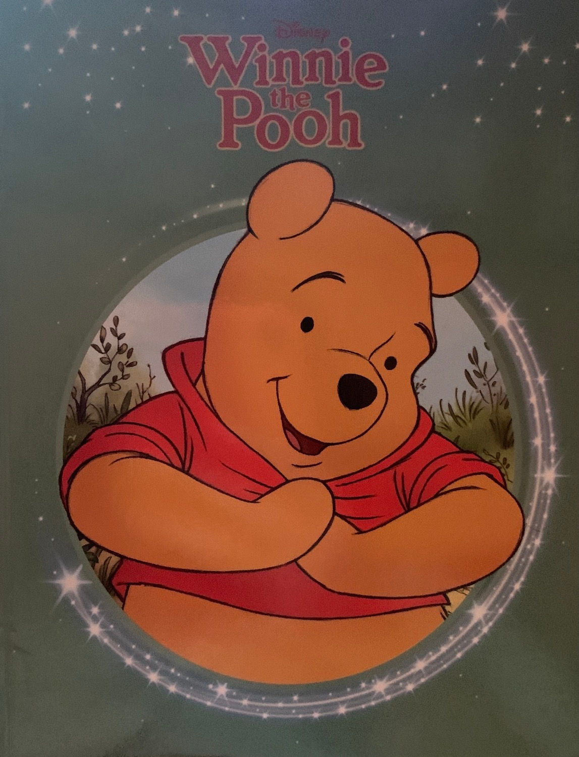 Disney Winnie the Pooh 