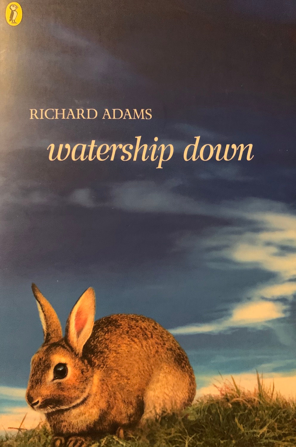 Watership Down 