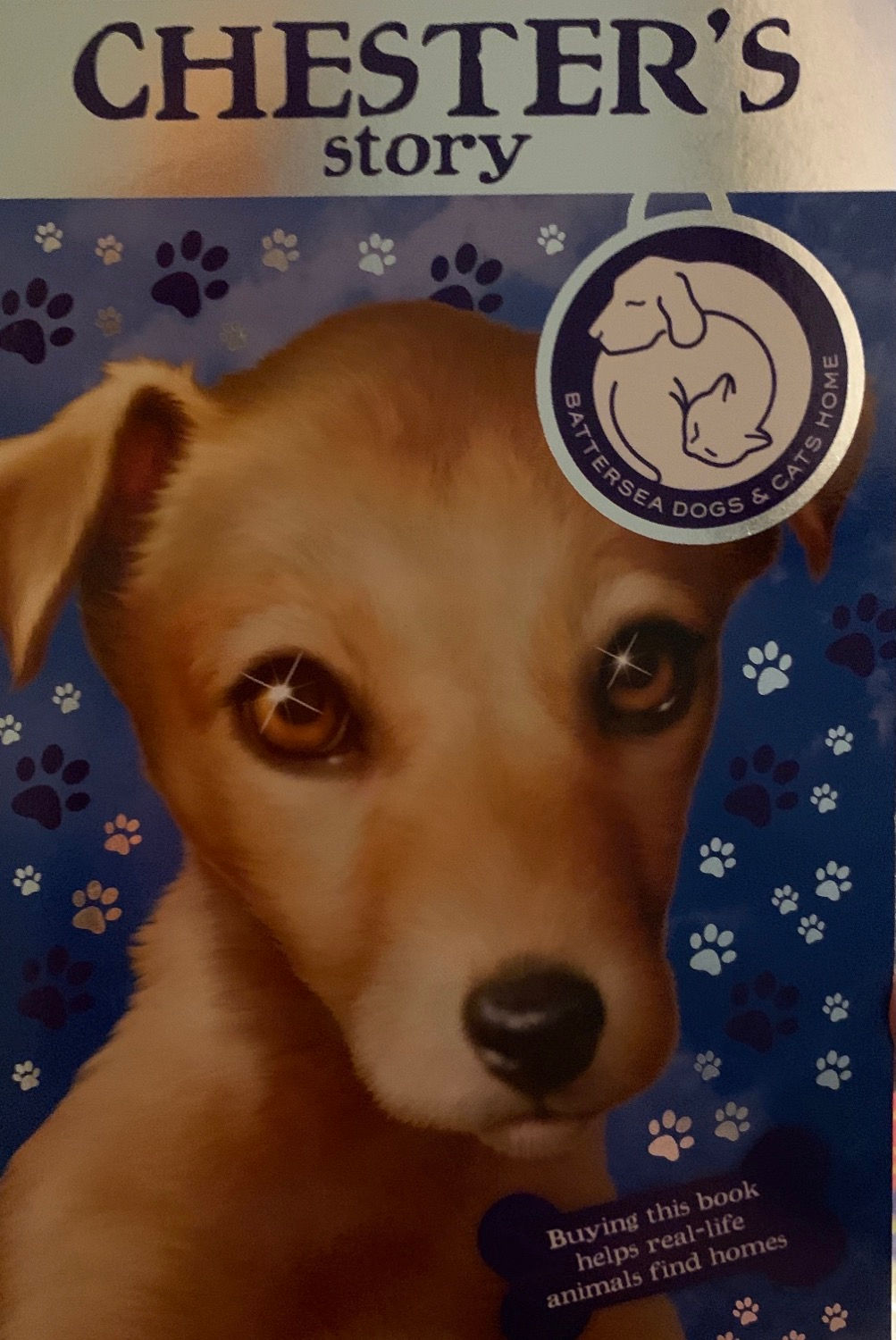 Chester’s Story ( Battersea Dog’s and Cat’s Home ) 