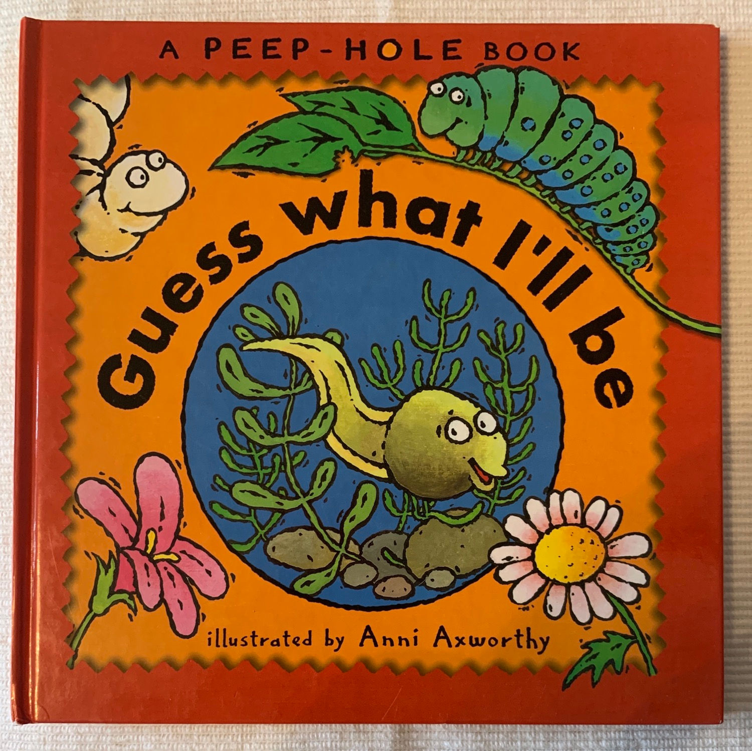 A Peep-Hole Book Guess what I’ll be