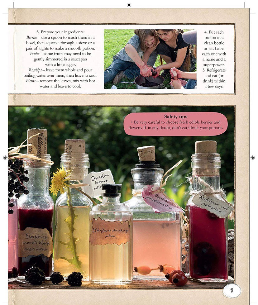 Thumbnail: Wild Things ( Lonely Planet Kids ) 