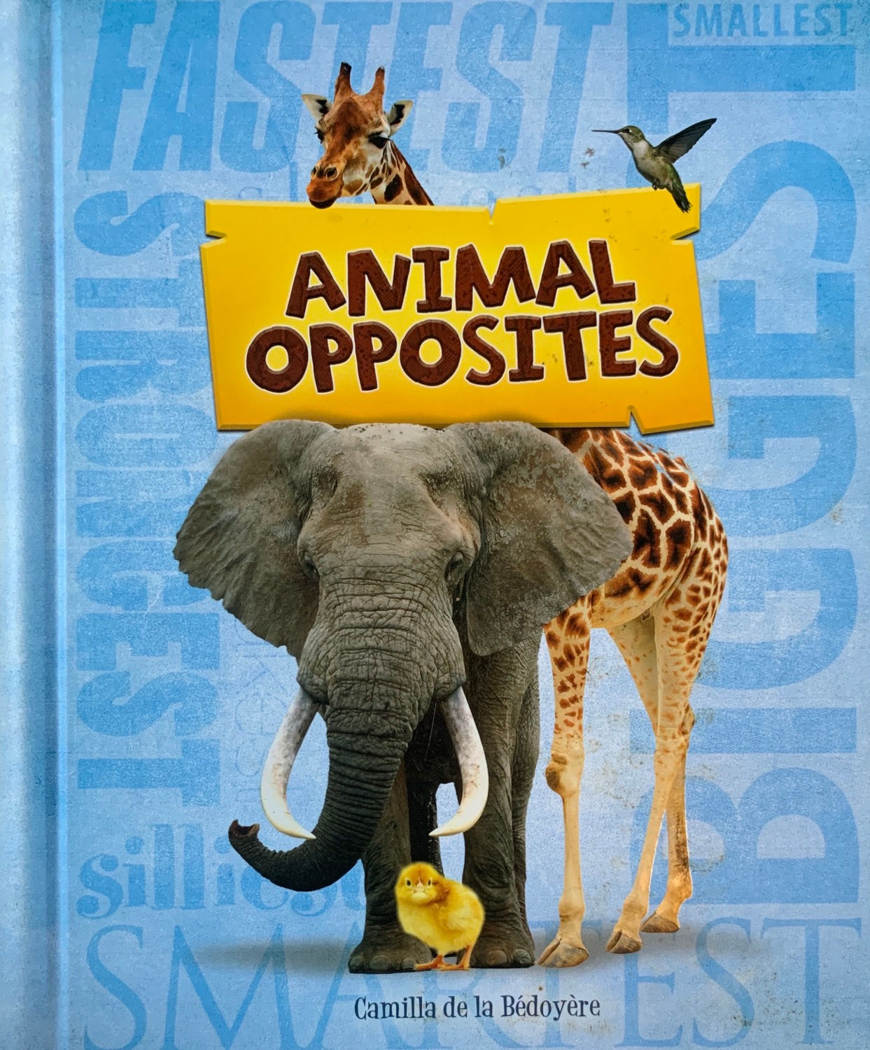 Animal opposites 