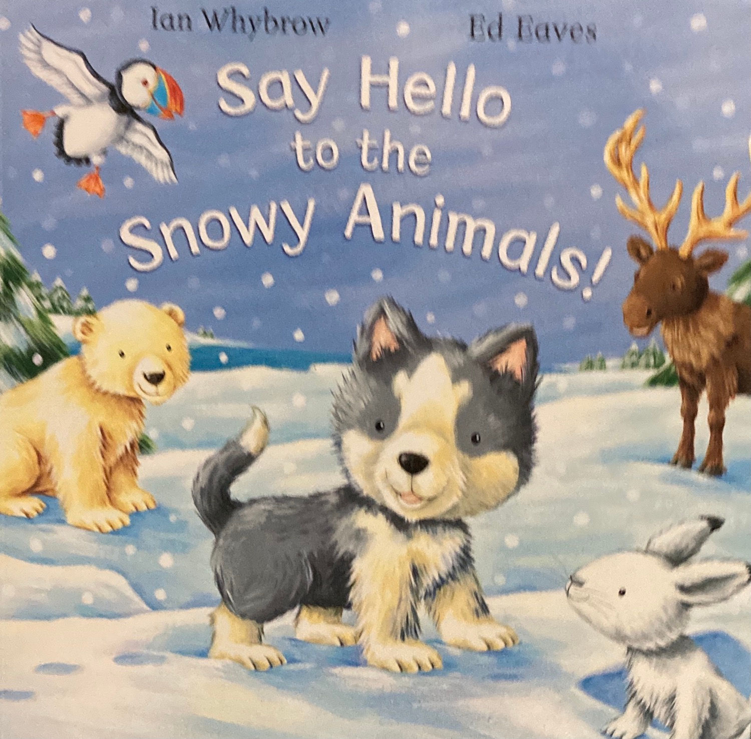 Say Hello to the Snowy Animals 