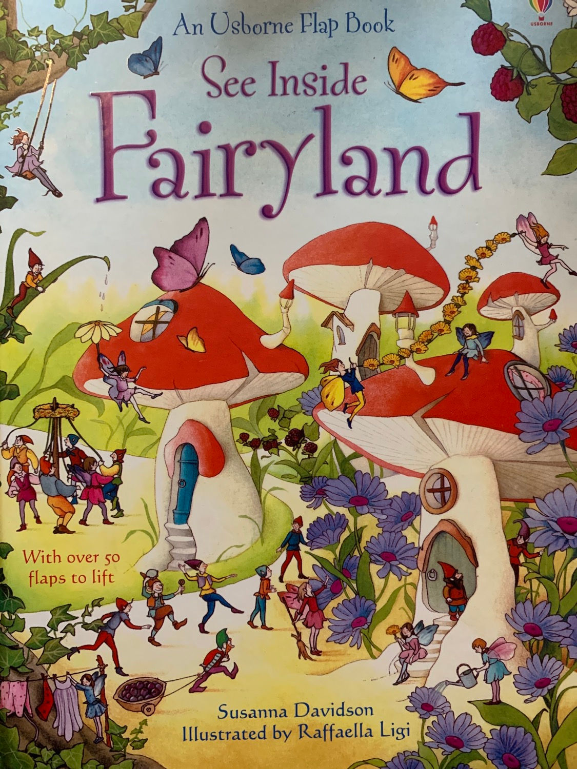 Usborne Flap Book See Inside Fairyland