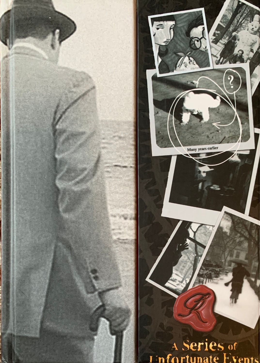 Lemony Snicket The Unauthorised Autobiography 