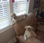 1000002070.jpg