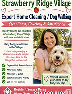 Expert Home Cleaning and Dog Walking Flyer 2 jpg.jpg
