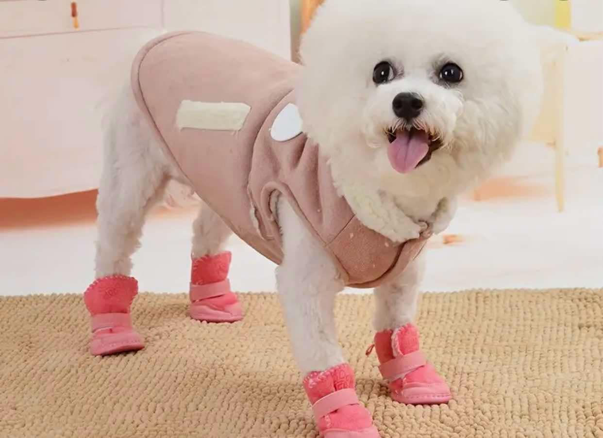 PET BOOTIES (Small- XL)