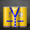 Thumbnail: Sorority Tumbler SIGMA GAMMA RHO -3 Designs(20 oz)