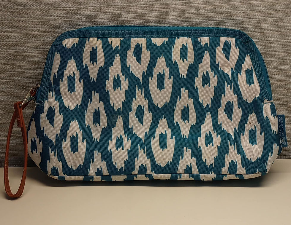 California Innovations Teal Blue/White Travel Pouch