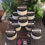 Thumbnail: All- Natural Shea Butters (choice of sizes) Prices start at$6.50
