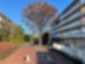 S__12910598.jpg