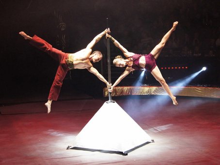 Die Geschichte des Poledance 