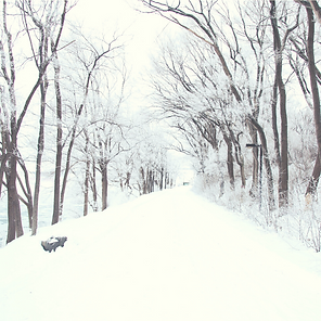 Winterfoto.png