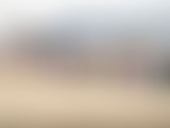 Plantar un árbol en el desierto - Exhibición