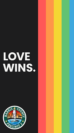 03-Love Wins.png