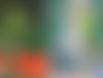 Shaheen Afridi and Haris Rauf achieve 300 T20 wickets milestone in PSL 10