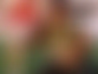 The untold journey of Shahbaz Ahmed and his impact on Pakistan hockey
