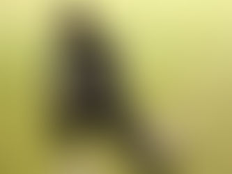 Babar Azam quits PCB skills development camp after two days