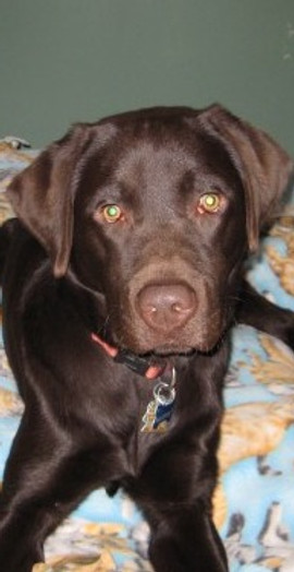Testimonialpic3murph_edited.jpg