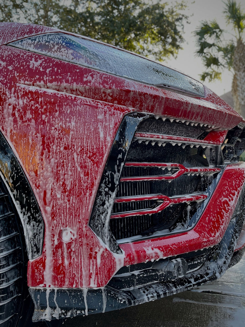 Ceramic Coating Houston