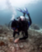 Coral Planting In Raja Ampat Sea People