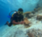Coral Restoration In Raja Ampat