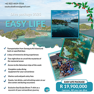 Easy Life Package