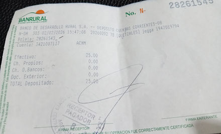 Ejemplo Boleta.jpg
