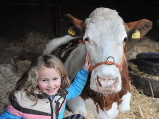 Kinderboerderij Emmelerbos vervult positieve rol voor de wijde regio