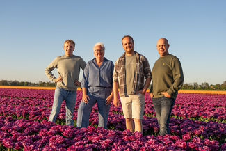 120 jaar Mulder Tulips