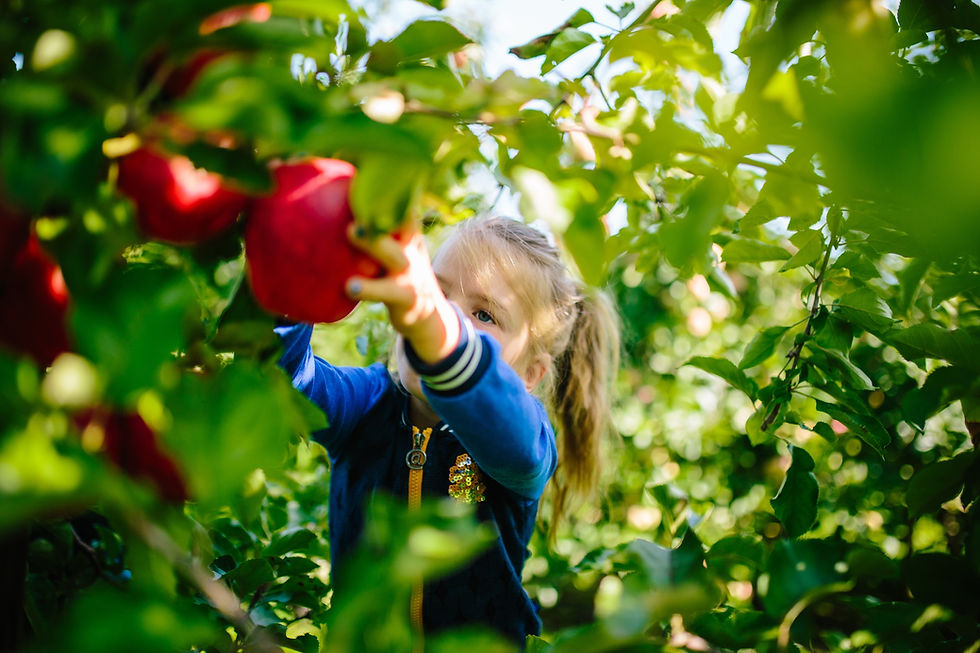 Foto: Vink Fruitboerderij