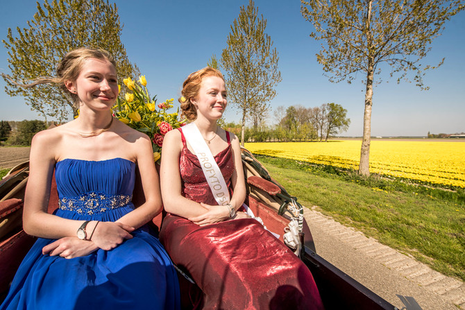 Tulpenkoning(in) gezocht!