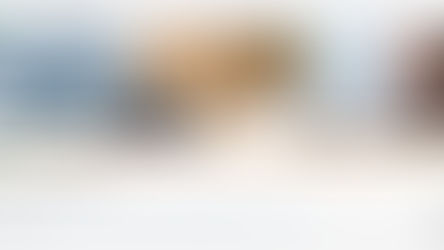 #DueDate GSTR 3B Nov 2019 Extended