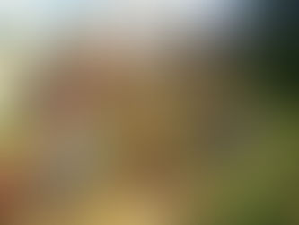 Тривають роботи по прибиранню шкільної території