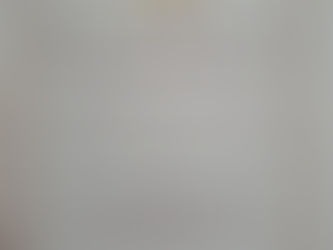 Впевнена перемога колківських ерудитів