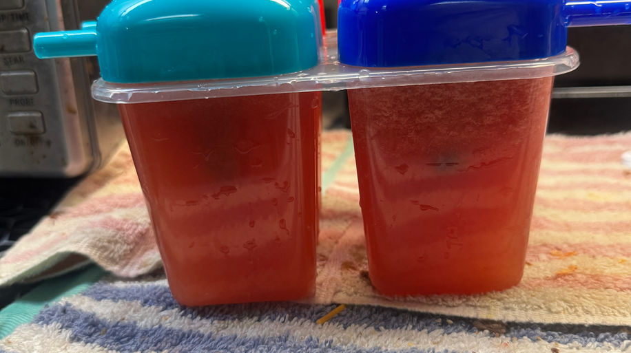 Four homemade popsicles in a plastic mold