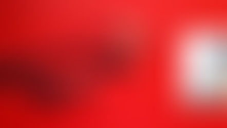 Day 21. An undercover unicorn.