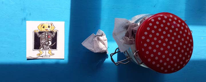 Day 24. An X-ray of an Xtremely hungry puppy.