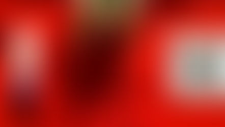 Day 17. A quokka in a Queen t-shirt