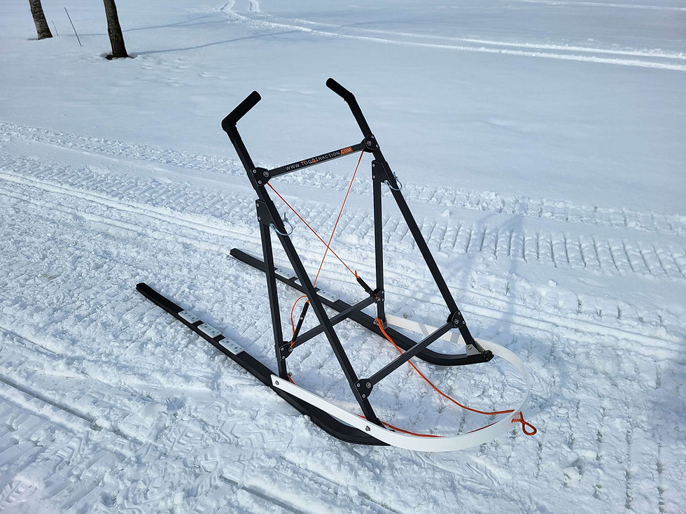 Thumbnail: Mini Kicksled TOGO (2 weeks delivery)