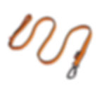 Bungee Leash